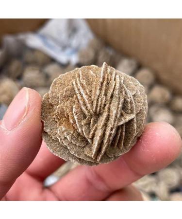 FACSER Natural Crystal Rough Natural Crystal Rough Natural Desert Rose Raw Crystal Stone Decor Home Decoration (Size : 60-80g) - Buy Online on GoSupps.com