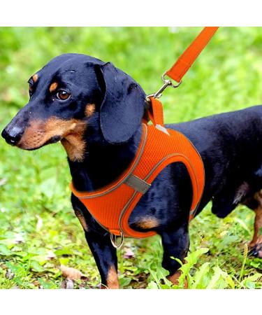 Joyal Dog Harness - Reflective Soft Padded Air-Mesh Vest for Small & Medium Dogs | Comfortable & Adjustable (M: 42-47cm) - Orange - Buy Online on GoSupps.com