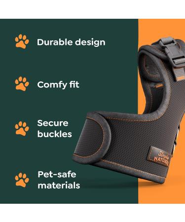 Adjustable Cat Harness and Lead Set - Escape Proof and Safe Design for Kittens - UK Universal Size Cat Leash - Buy Online on GoSupps.com