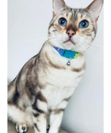 Kittyrama Cats & Kittens Collars | Vogue Featured Vet Approved Hypoallergenic & Comfortable - Shop Now! - Buy Online on GoSupps.com