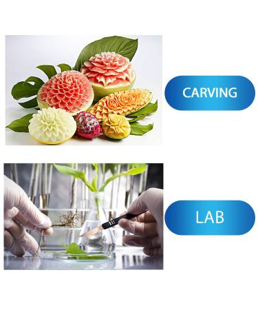 15-Pack Stainless Steel Scalpel Handle with Sterile 23 High Carbon Steel Blades for Dermaplaning, Podiatry, Crafts & More - Buy Online on GoSupps.com