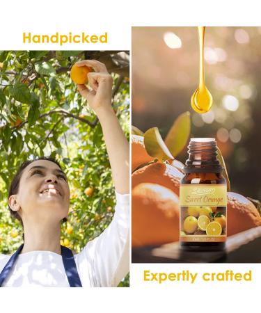 Salubrito Citrus Essential Oils Set - Sweet Orange, Bergamot, Lemon, Grapefruit - Set of 6 for Diffuser, Soap, Candle, Slime - Buy Online on GoSupps.com