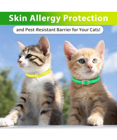 Cat Collar Set of 4 - 48cm - Stylish Green & Yellow Design for International Shipping - Buy Online on GoSupps.com