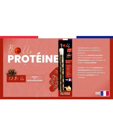 GIOIABALLS - Protein (Artemia Mosquito larvae) / Food for aquarium shrimp / Made in France / Artisanal - Buy Online on GoSupps.com