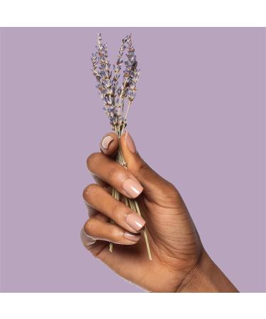 Poo-Pourri Lavender Vanilla Toilet Spray Refill - 16 Fl Oz Bottle | Citrus Scent, Pack of 1 - Buy Online on GoSupps.com