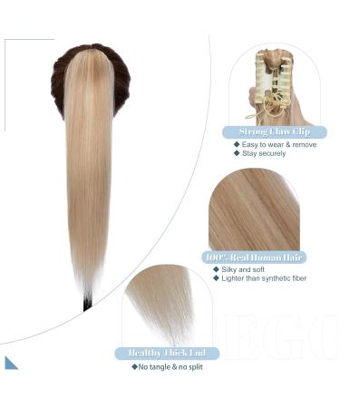 SEGO 100% Remy Hair Ponytail Extension - Honeyblond Braid Clip-In 40cm - Beauty & Style for All Hair Types - Buy Online on GoSupps.com