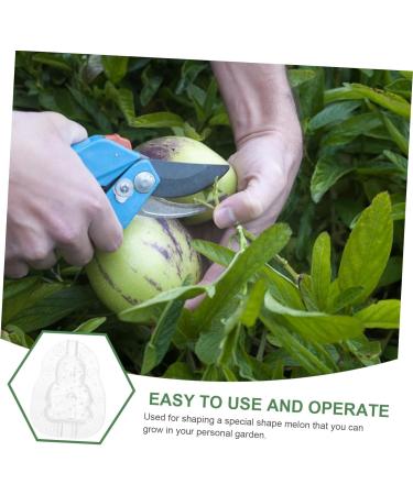 Milisten Gardening Tools 6 pcs Watermelon Mould Tools Clear Supplies Growing Garden Vegetable Multifunction Moldvegetable Transparentx2pcs 9x8cmx2pcs - Buy Online on GoSupps.com