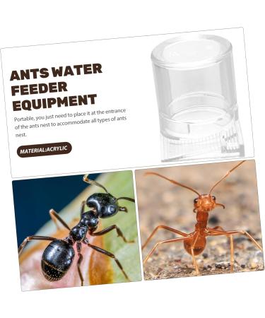 Toddmomy Pet Water Feeder Ant Water Drinking Cup Ant Watering Cup Ants Waterer Ant Feed Bowl to Feed Animal - Buy Online on GoSupps.com