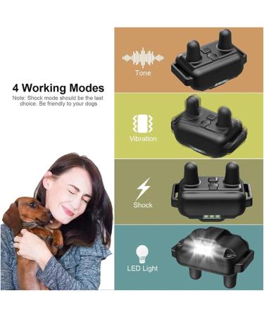 Buy Classic Nylon Dog Collars - Breathable Waterproof Easy to Handle for All Sizes | International Shipping Available - Buy Online on GoSupps.com