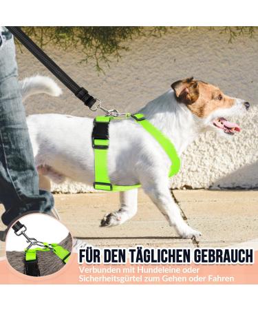 Buy Slowton Dog Harness - No Pull Safety Harness for Small & Medium Dogs | Soft Padded & Breathable - Lime Color - Buy Online on GoSupps.com