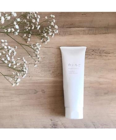 Organic Tech Wash - Eco-Friendly Cleaning Solution for All Surfaces | International Shipping Available - Buy Online on GoSupps.com