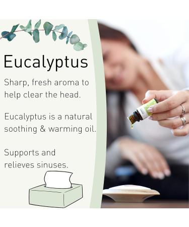 SENSOLI Eucalyptus Essential Oil 10ml - Pure & Natural Aromatherapy Oil for Diffusers - Buy Online on GoSupps.com