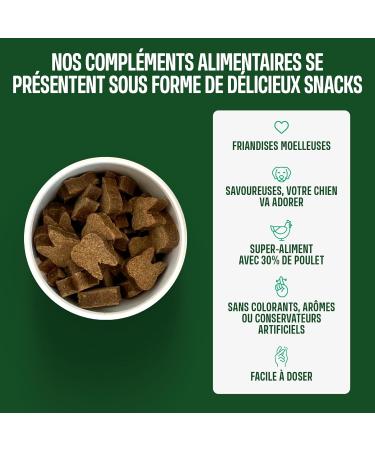ivvi Dental - Dental Hygiene Snacks for Dogs. Mint Parsley Fennel Chamomile Coconut Oil Brown Seaweed. 60 Snacks with Chicken. Promotes Healthy Teeth Fresh Breath Healthy Gums - Buy Online on GoSupps.com