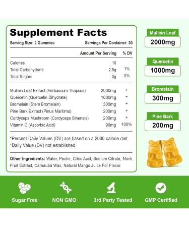 Mullein Gummies, Mullein Leaf Extract with Bromelain, Quercetin, Pine Bark Support Lung Cleanse for Healthy Breathing, 60ct Mango 60 Count (Pack of 1) - Buy Online on GoSupps.com