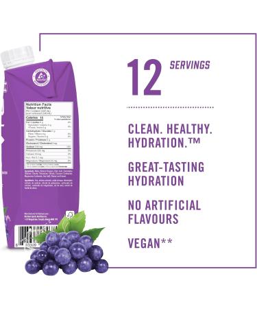 BioSteel Sports Drink Great Tasting Hydration with 5 Essential Electrolytes Rainbow Twist Flavour 16.7 Fluid Ounces 12-Pack & Drink Great Tasting Hydration with 5 Essential Electrolytes (Grape) - Buy Online on GoSupps.com