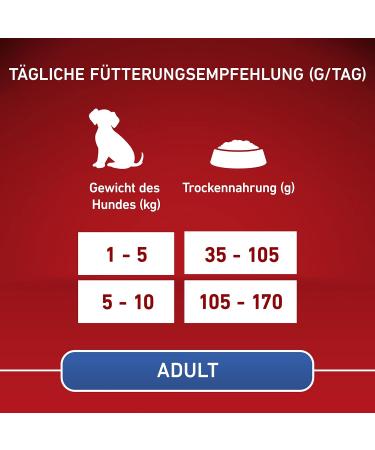 PURINA ONE Mini/S Dry Food for Small Dogs Rich in Beef and Rice 8 x 800 g 8 Cans - Buy Online on GoSupps.com