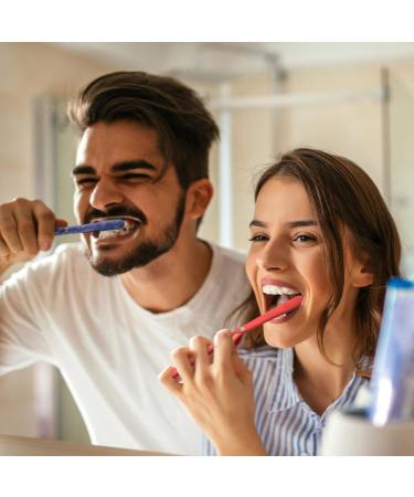Linkidea Manual Toothbrush Set with Magnetic Holder - Soft Bristles for Adults | International Shipping Available - Buy Online on GoSupps.com