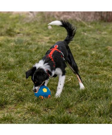 Buy Nobby Multicoloured Latex Football - 12 cm Size International Shipping Available - Buy Online on GoSupps.com
