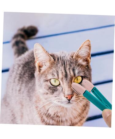 Kisangel 2pcs Eye Gum Cleaner Tear Marks Brush for Dogs Toallitas Desmaquillantes Pet Comb Dog Eye Cleaner Pp 10.00X3.20X1.00CM Assorted Color - Buy Online on GoSupps.com