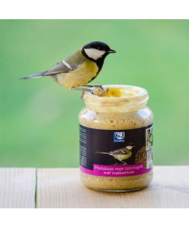 CJ Wildlife Peanut Butter for Garden Birds with Mealworms - Economy Pack (4 x 330g) | Premium Bird Feed for Wild Birds - International Shipping Available - Buy Online on GoSupps.com