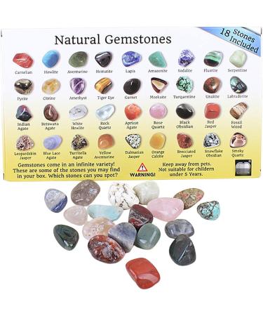 VENTDOUCE Roche Mineral Collection Learning Set of 18 Rough Natural Sciences Geology Set for Girls and Boys Calendar - Buy Online on GoSupps.com