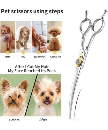 Dream Reach Professional 7 Inch Curved Dog Grooming Scissors Kit - JP-440C Stainless Steel Pet Hair Cutting Shears for Thinning, Blending, Chunking - Ideal for Cats and Dogs - Buy Online on GoSupps.com