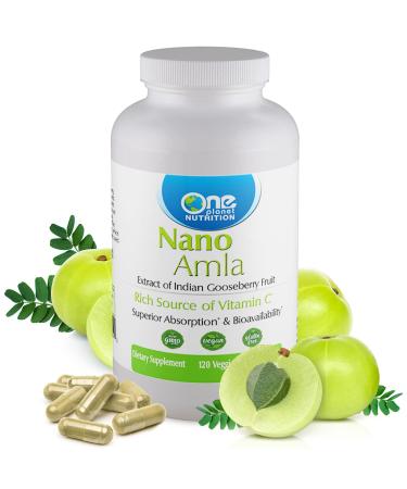 One Planet Nutrition Nano Amla 500 mg Veggie Capsules (120 Servings), Amla Fruit Extract, High in Vitamin C for Collagen Production & Immune Support, Non-GMO, Vegan, Gluten-Free Capsule 500 mg