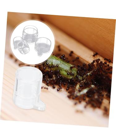Sosoport 2pcs Ant Water Feeder Ant Water Bowl Mini Ant Feeder Ant Nest Water Feeder Water Bowl for Ants Insect Water Bowl Transparent Ant Water Feeding Bowl Insect Water Feeder - Buy Online on GoSupps.com