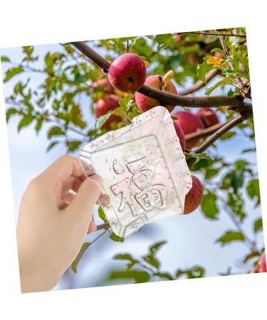 SUPVOX 2pcs Square Apple Fruit Shaping Shape for Vegetable Stereotypes Mould Cover - Buy Online on GoSupps.com