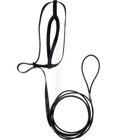 Aviator Bird Harness & Leash - Made in America | Size L - Perfect for Parrots & Flight-Ready Birds - Buy Online on GoSupps.com