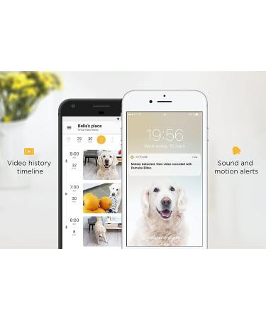 Petcube 2017: Smart Pet Camera with Interactive Laser Toy | HD Video, Two-Way Audio, Night Vision | App-Enabled Monitoring for Dog/Cat Safety - Buy Online on GoSupps.com
