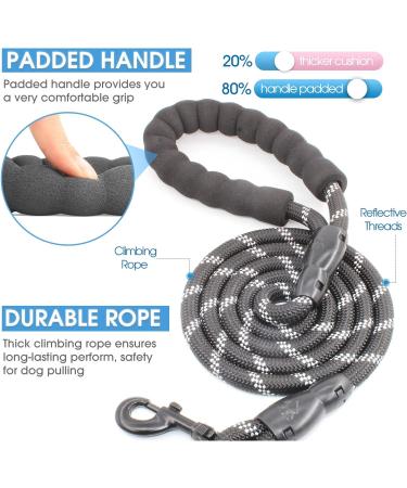 BAAPET Dog Leash with Padded Handle, Reflective Threads - 5 FT - Black - Buy Online on GoSupps.com