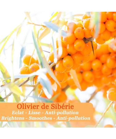 Pol ar - Northern Light Smoothing Fluid with Siberian Olive Tree - 50ml - Face moisturizer cream - Glow - Smooth skin - Anti-pollution shield - Mixed skin even sensitive - Natural active ingredient - Buy Online on GoSupps.com