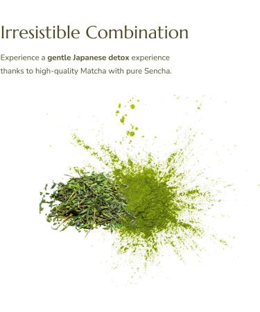 Anna's Teapot Matcha-Sencha - Organic Japanese Green Tea - 20 Individually Wrapped Pyramid Teabags - Buy Online on GoSupps.com