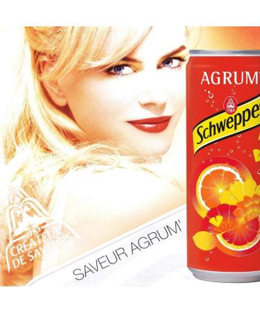 SCHWEPPES AGRUM 24 x 330 ml (7900 ml) - Soft Canister - Blender Natural Flavours - Buy Online on GoSupps.com