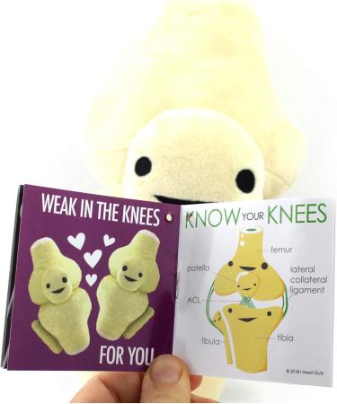 I Heart Guts Knee Joint Plush Toy - Kneed for Speed Stuffed Pillow Gift for Surgery Recovery Perfect for Doctors & Physical Therapists - Buy Online on GoSupps.com