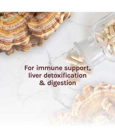 Fungi Perfecti Turkey Tail - 60 Vegetarian Capsules for Immune Support - Buy Online on GoSupps.com