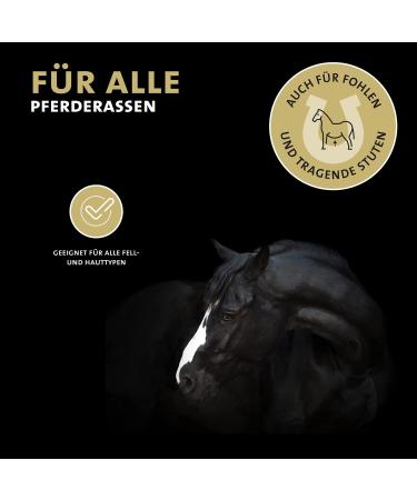 Peticare Anti-Schorf & Wounds Ointment for Horses | PRS System | Supports Healing & Regeneration | 50 ml - Pethorse Health - Buy Online on GoSupps.com