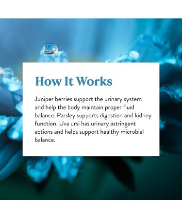 Natures Sunshine Pantothenic Acid 100 Capsules | Vitamin B5 for Nervous System Support & Adrenal Gland Function - Buy Online on GoSupps.com