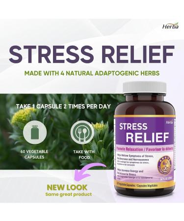 Stress Relief Supplements Natural Anxiety Relief and Anti Stress Formula | Ashwagandha L-Theanine Reishi and Rhodiola Rosea as Cortisol Supplement | 60 Capsules | Made in Canada | Stress Sleep Relief - Buy Online on GoSupps.com