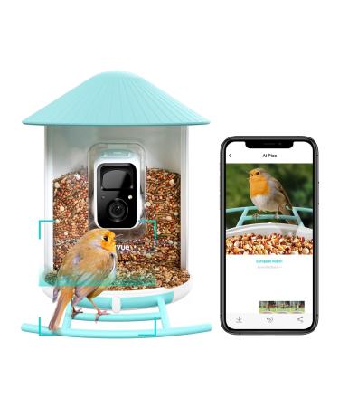 Netvue bird feed donor with camera bird house with camera feed stations for wild birds bird feeding constitution Camere video car bird feeder camera with AI detection bird species (birdfy AI) only birdfy