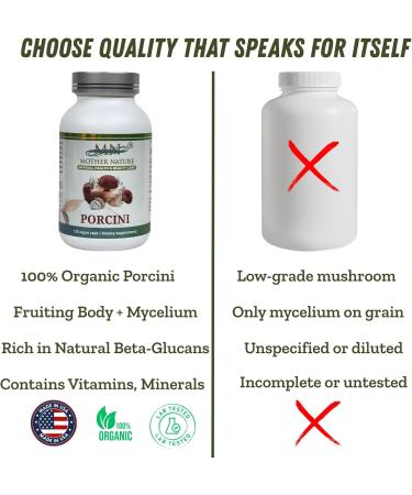 Mother Nature Porcini (Boletus edulis) Mushroom - 120 Vegan Capsules - 2 Month Supply - Made in USA - Buy Online on GoSupps.com