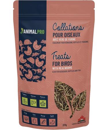 AnimalPro Mealworms 227 g - 0 5 LB Approx 9000 mealworms - Buy Online on GoSupps.com