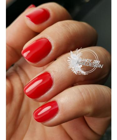 Buy New Brilliant Quick Finishgel 2.0 - Medium Viscosity Gloss Gel Top Coat | Long-Lasting High Gloss Finish | Made in Germany (15ml) - Buy Online on GoSupps.com