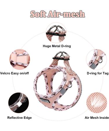 Doramio Small Dog Harness & Leash - Reflective Breathable Anti-Pull Safety for Cats & Dogs | Step-In Design | Champagne Color - Buy Online on GoSupps.com