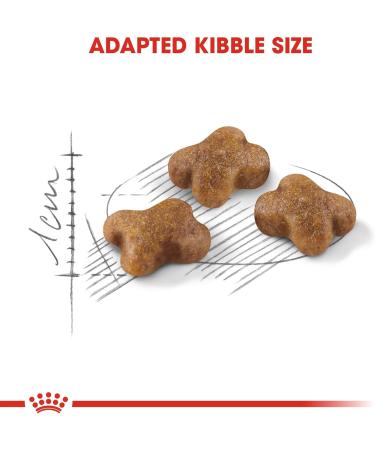 Royal Canin Kitten 4.0 kg - Buy Online on GoSupps.com