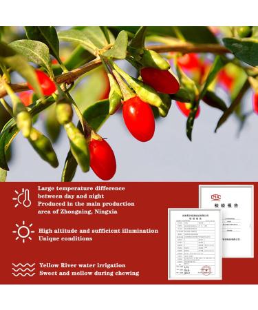 Goji Berries 14.1OZ/400g Wolfberry Special Grade Goji Berry Dried Fruit Berry Whole & Large No Sulfur No Addition Great for Drinks Snacks Beverages  - Buy Online on GoSupps.com