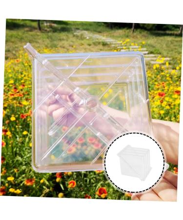 OSALADI Fruit Pumpkin Tools Watermelon Forming Molds Gardening Supplies Vegetable Stereotypes Moss 15x15cm Transparent - Buy Online on GoSupps.com