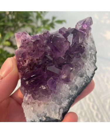 Choice of Gifts 40-120g Natural Dream Amethyst Quartz Crystal Cluster Vibration Stone (Size : 40-60g) - Buy Online on GoSupps.com