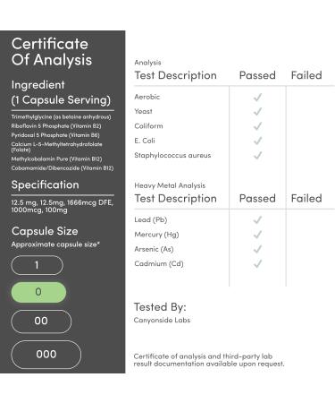 Methylated Multivitamin (Methylated and Activated Vitamins Only - Methylated B Complex with Trimethylglycine (TMG) and Methylfolate)(Non-GMO Gluten Free MTHFR Supplement) 120 Capsules by Double Wood - Buy Online on GoSupps.com